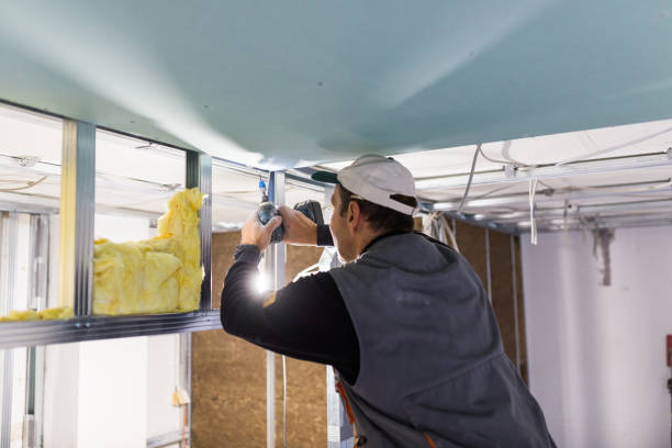 Best Insulation Maintenance and Repair in De Soto, IA