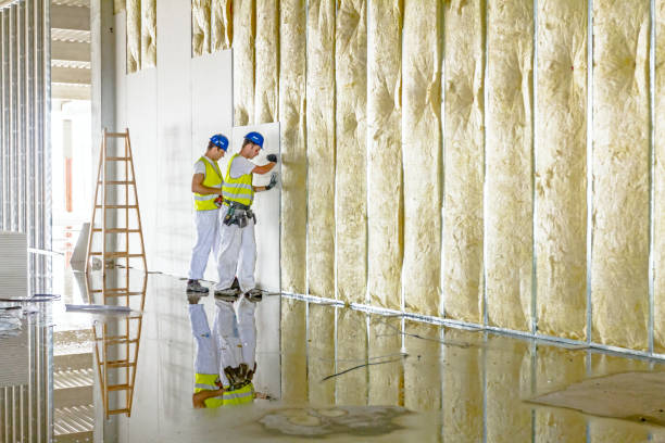 Best Insulation for Specific Applications in De Soto, IA
